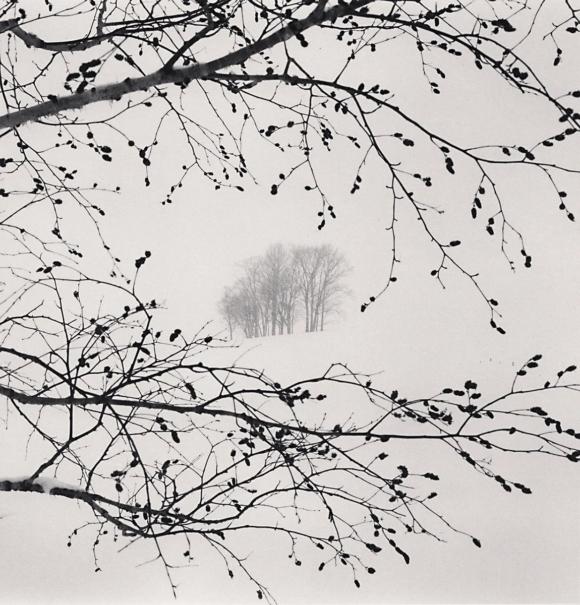 19_Distant+Trees,+Sorachi,+